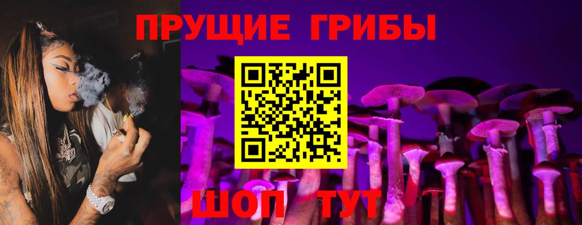 где можно купить   Вход с VPN  Комсомольск-на-Амуре  Галлюциногенные грибы GOLDEN TEACHER  Псилоцибиновые грибы мицелий 
